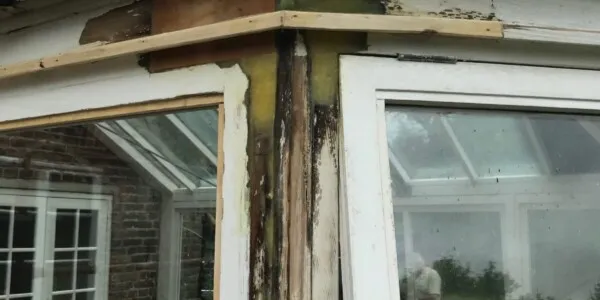 door frame molded