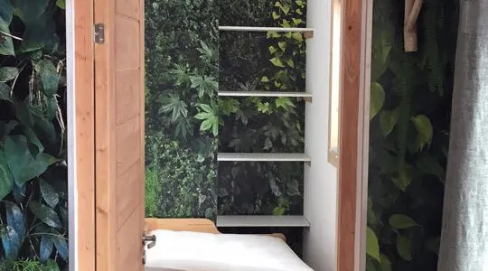 Featured Walls 5 wallpaper around door frame