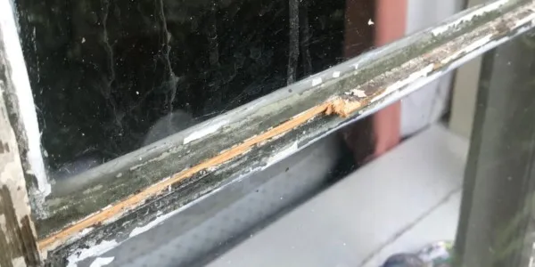 8 close up of mold on window frame